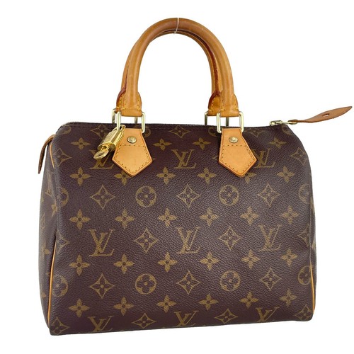 Sac main louis vuitton - main,