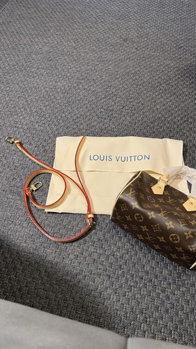 Sac main louis - vuitton, nano