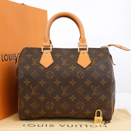 Sac main louis vuitton - sac,