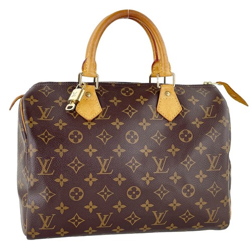 Sac main louis vuitton - main,